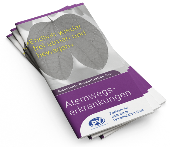 Folder Atemwegserkrankungen